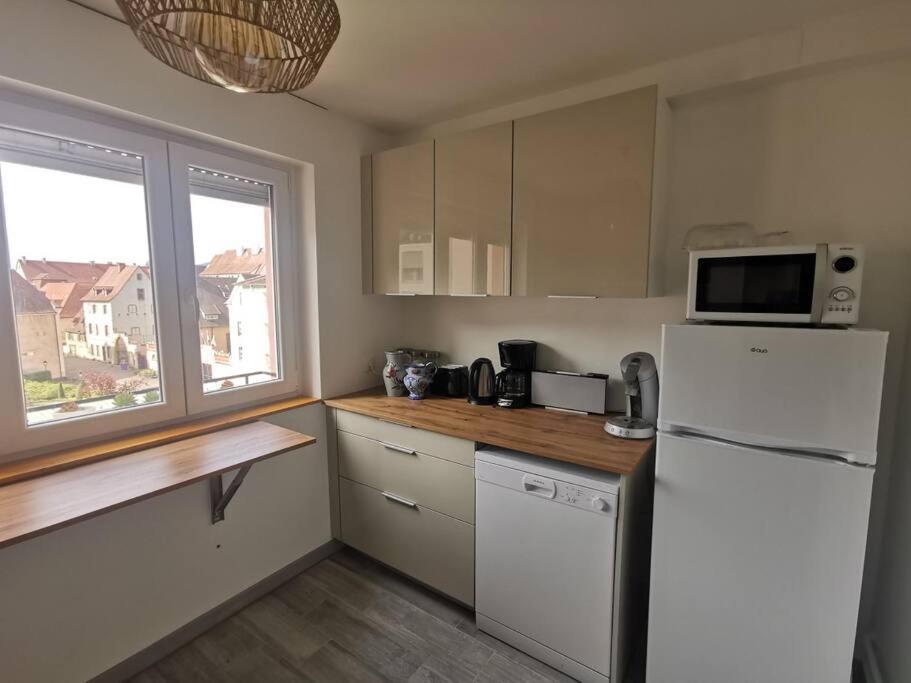Logement Colmar Centre Avec Parking Екстериор снимка